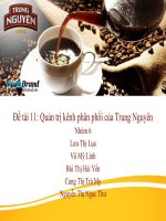 Thuyết trình môn marketing quốc tế quản trị kênh phân phối của trung nguyên 