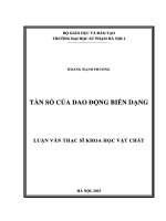 Luận văn tần số của dao động biến dạng 