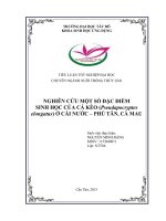 Nghiên cứu một số đặc điểm sinh học của cá kèo (pseudapocryptes elongatus) ở cái nước phú tân, cà mau 