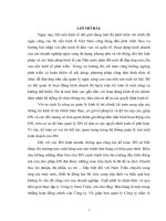 tổ chức kế toán công ty TNHH MTV nam triệu 