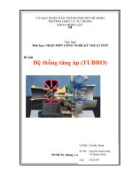 Hệ thống cân bằng điện tử ESP trên ô tô 1