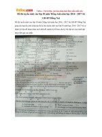 Đề thi tuyển sinh vào lớp 10 môn Tiếng Anh năm học 2016 - 2017 Sở GD-ĐT Đồng Nai