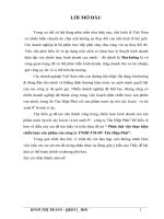 Phân tích việc thực hiện chiến lược sản phẩm của công ty TNHH TM DV tân hiệp phát 