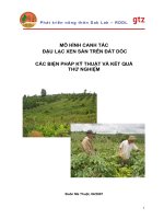 MÔ HÌNH CANH TÁC ĐẬU LẠC XEN SẮN TRÊN ĐẤT DỐC CÁC BIỆN PHÁP KỸ THUẬT VÀ KẾT QUẢ THỬ NGHIỆM