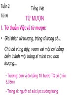 Từ mượn ngữ văn lớp 6