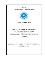 TÌNH TRẠNG KHÁNG CARBAPENEM của các VI KHUẨN GRAM âm tại BỆNH VIỆNHỮU NGHỊ VIỆT TIỆPHẢI PHÒNG 