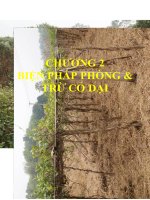 chương 2 3 đại cương cỏ dại