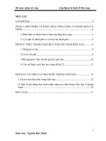 Hàng hóa công cộng, chịu sự quản lý của nhà nước xét theo góc độ lý thuyết kinh tế và quá trình này được tôi chia thành ba giai đoạn