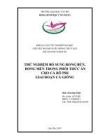 Thử nghiệm bổ sung rong bún, rong mền trong phối thức ăn cho cá rô phi giai đoạn cá giống 