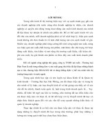 Thực trạng và một số biện pháp nhằm nâng cao hiệu quả hoạt động xuất khẩu của công ty TNHH sản xuất   thương mại điện nam 