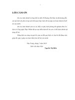 Luận văn nghiên cứu chiết xuất chất màu carotenoit từ quả ớt sừng việt nam (capsicum annuum l ) 