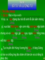 Số từ và lượng từ ngữ văn 6