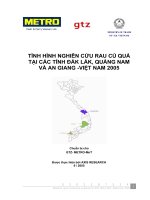 TÌNH HÌNH NGHIÊN CỨU RAU CỦ QUẢ TẠI CÁC TỈNH DĂK LĂK QUẢN NAM VÀ AN GIANG VIỆT NAM 2005
