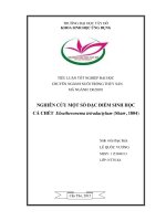 Nghiên cứu một số đặc điểm sinh học của cá chét eleutheronema tetradactylum (shaw, 1804) 