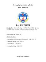 Lựa chọn một công ty ở việt nam  thiết lập mục tiêu bán hàng và chiến lược bán hàng cho công ty này 