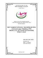 Thử nghiệm nuôi hàu thái bình dương (crassostrea gigas thunberg, 1793) trong các ao tại huyện đầm dơi, tỉnh cà mau 