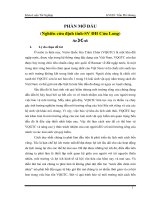 Định hướng và giải pháp phát triển bền vững khu du lịch sinh thái Tràm Chim – Đồng Tháp