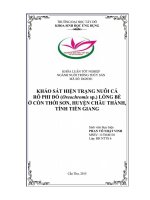 Khảo sát hiện trạng nuôi cá rô phi đỏ (oreochromis sp ) lồng bè ở cồn thới sơn, huyện châu thành, tỉnh tiền giang 