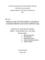 Tiểu luận nghiệp vụ ngân hàng thương mại mối quan hệ vốn chủ sở hữu lợi nhuận và rủi ro trong ngân hàng thương mại 