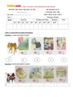 Đề thi học kỳ 2 môn Tiếng Anh lớp 3 trường Tiểu Học Thị Trấn Ân Thi, Hưng Yên năm học 2015 - 2016