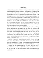 Thực trang hoạt động marketing của công ty cổ phần giao nhận vân tải mỹ á – ASL ” (chi nhánh hải phòng)  