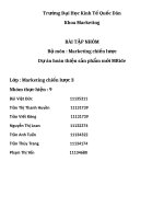 Tiểu luận môn marketing chiến lược dự án hoàn thiện sản phẩm mới MRide 