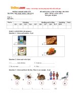 Đề thi học kỳ 2 môn Tiếng Anh lớp 4 trường Tiểu học Phúc Thuận 2, Thái Nguyên năm học 2014 - 2015