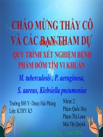 QUY TRÌNH xét NGHIỆM BỆNH PHẨM đờm tìm VI KHUẨN  
