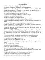 CÂU hỏi ôn tập luật vận tải biển LOG k54 