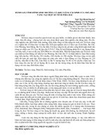 ĐÁNH GIÁ TÌNH HÌNH SINH TRƯỞNG VÀ KHẢ NĂNG TÁI SINH CỦA TRÀ HOA VÀNG TẠI MỘT SỐ TỈNH PHÍA BẮC