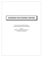 Grammar for Academic Writing