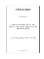 Nghiên cứu các hình thức tổ chức sản xuất nông nghiệp tại huyện Yên Sơn tỉnh Tuyên Quang