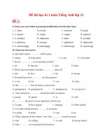 Bài kiểm tra Tiếng Anh lớp 11 học kỳ 1
