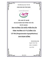 Ảnh hưởng của khẩu phần ăn lên tăng trưởng và tỷ lệ sống của cá tra giai đoạn giống 