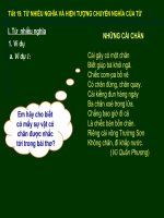 Từ nhiều nghĩa và hiện tượng chuyển nghĩa của từ