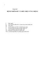 Chuyên đề bệnh nhiễm HIV và biểu hiện vùng miệng