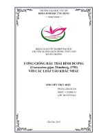 Ương giống hàu thái bình dương bằng các loại tảo khác nhau 