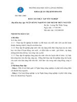 Các hoạt động nghiệp vụ tại ngân hàng nông nghiệp và phát triển nông thôn chi nhánh thủy nguyên 