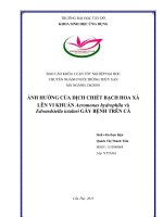 Ảnh hưởng của dịch chiết bạch hoa xà lên vi khuẩn aeromonas hydrophila và edwardsiella ictaluri gây bệnh trên cá 
