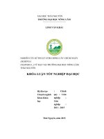 Luận văn nghiên cứu kỹ thuật gieo ươm cây chùm ngây (moringa oleifera l ) từ hạt tại vườn ươm trường đại học nông lâm thái nguyên 