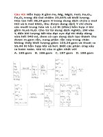 GIÚP BẠN HOA BAN ĐỎ