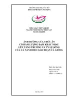 Ảnh hưởng của thức ăn có hàm lượng đạm khác nhau lên tăng trưởng và tỷ lệ sống của cá nanh heo giai đoạn cá giống 