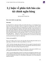 Lý luận về phân tích báo cáo tài chính ngân hàng