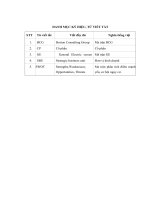 Hoàn hiện chiến lược kinh doanh và triển khai chiến lược kinh doanh cho công ty cổ phần tư vấn và đầu tư xây dựng indeco 