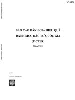 BÁO CÁO ĐÁNH GIÁ HIỆU QUẢ DANH MỤC ĐẦU TƯ QUỐC GIA