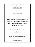 Phát triển nguồn nhân lực ngành công nghệ thông tin tại thành phố quy nhơn, tỉnh bình định