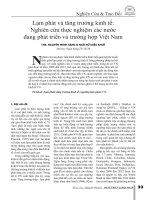 Lạm phát và tăng trưởng kinh tế: Nghiên cứu thực nghiệm các nước đang phát triển và trường hợp Việt Nam