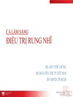 CA LÂM SÀNG ĐIỀU TRỊ RUNG NHĨ BS. BÙI THẾ DŨNG BS.NGUYỄN THỊ TUYẾT MAI BV ĐHYD TP.HCM