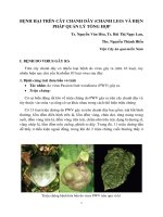 benh hai tren chanh day va phương pháp quản lý tổng hợp