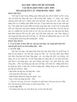 SÁNG KIẾN KINH NGHIỆM NGỮ văn dạy học THEO CHỦ đề TÍCH hợp